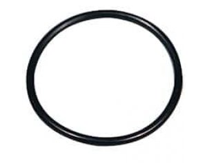 Advantec 540106-A Inlet Silicone O-Ring for SS Filter Holders, PP/PFA 25 mm