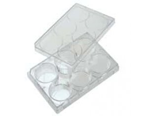 CELLTREAT Scientific Products 229105 6-Well Treated Culture Plate with Lid; 50/cs