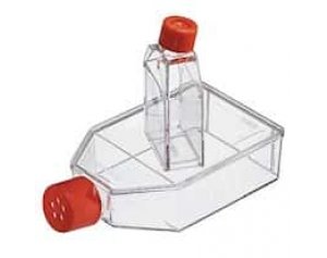 Corning 431085 Cell Culture Flask, 175cm2, Angled Neck/Phenolic Cap; Sterile, 50/Cs