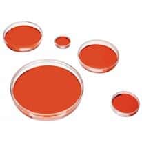 Corning 430167 cell culture dish, TC-<em>treated</em>, 100 mm diameter, 500/cs