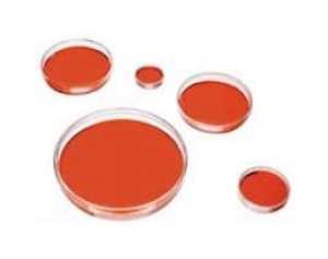 Corning 430167 cell culture dish, TC-treated, 100 mm diameter, 500/cs