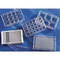 Costar 3524 24-well Multiple-well <em>cell</em> culture plates with lid, treated, <em>sterile</em>, <em>100</em>/<em>cs</em>