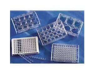 Costar 3516 6-well Multiple-well cell culture plates with lid, treated, sterile, 1/pk