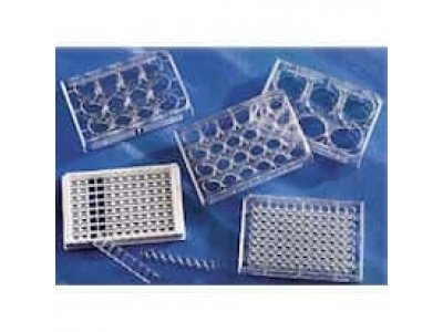 Costar 3506 6-well Multiple-well cell culture plates with lid, treated, sterile, 5/pk