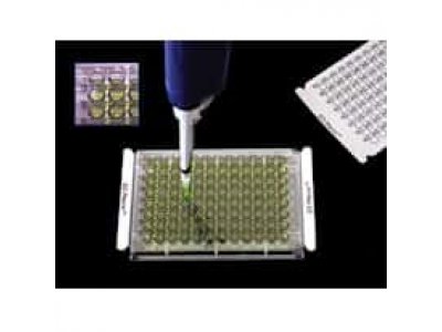 Excel Scientific AlumaSeal II™ Sealing Film for PCR and Cold Storage, Aluminum Foil, Sterile, 38µm; 100/PK