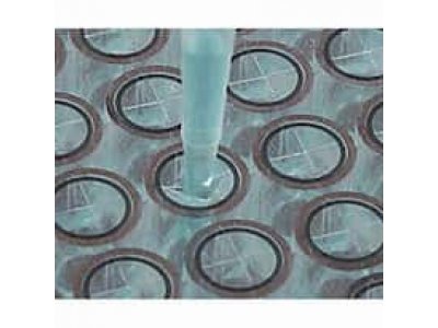 Excel Scientific Precut Piercable Sealing Films, 50/pk - Sterile