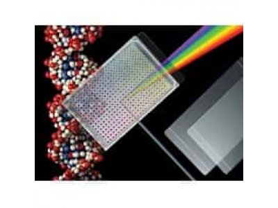 Excel Scientific ThermalSeal RT2RR™ Sealing Film for Real-Time PCR, Polyester, Non-Sterile, 50µm; 100/PK