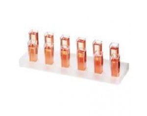 Dynalon 202215 Cuvette Stand, Holds up to 12 Standard-Sized Cuvettes