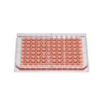 Thermo Scientific Nunc 267312 96 Well Edge Plate, <em>Non</em>-Sterile with lid, <em>Non</em> Treated, 100/cs (10/pk)