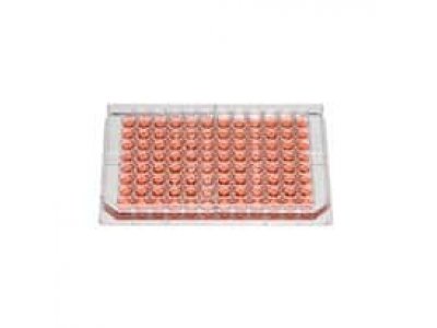 Thermo Scientific Nunc 267313 96 Well Edge Plate, Sterile with lid, Non Treated, 50/cs individually wrapped