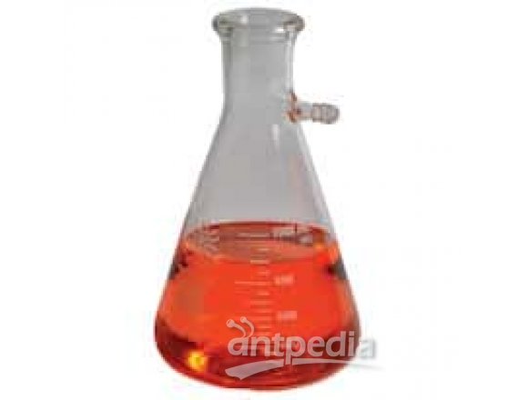 United Scientific Supplies Filtering Flask, Borosilicate Glass; 500 mL