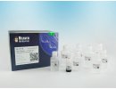BeaverBeads™ ProteinA/G Antibody Purification Kit