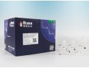 BeaverBeads™ Protein A/G Immunoprecipitation Kit