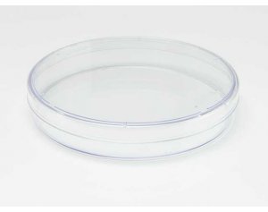 TCT细胞培养皿，35mm