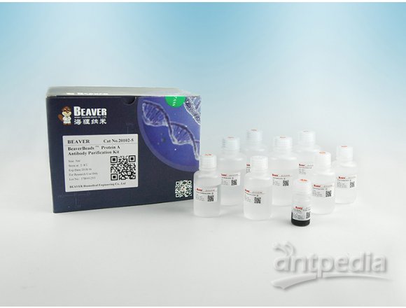 BeaverBeads™ Protein A Antibody Purification Kit