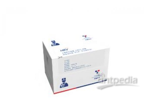 乙型肝炎病毒基因分型检测试剂盒(荧光PCR法)