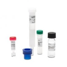 MO-L002 | GREEN-NHS 蛋白标记试剂盒（氨基标记-GREEN Channel）