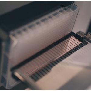 PR-AC002 | PR NT.Plex 标准 Capillary Chip（毛细管组