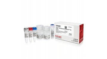 TaqMan™ 基因表达 Cells-to-CT™ 试剂盒  4399002
