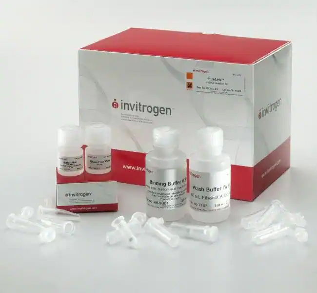 PureLink™ miRNA 分离试剂盒