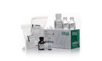 RNAqueous™微量提取总 RNA 分离试剂盒