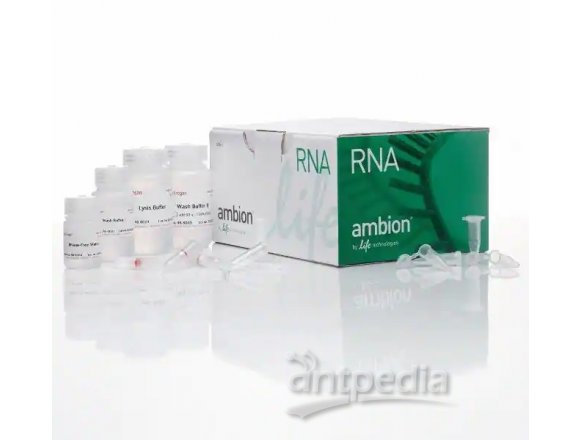 PureLink™ RNA 小提试剂盒