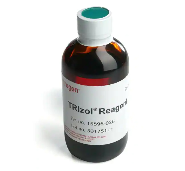 <em>TRIzol</em>™ 试剂  15596026