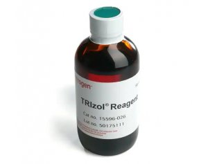 TRIzol™ 试剂  15596026
