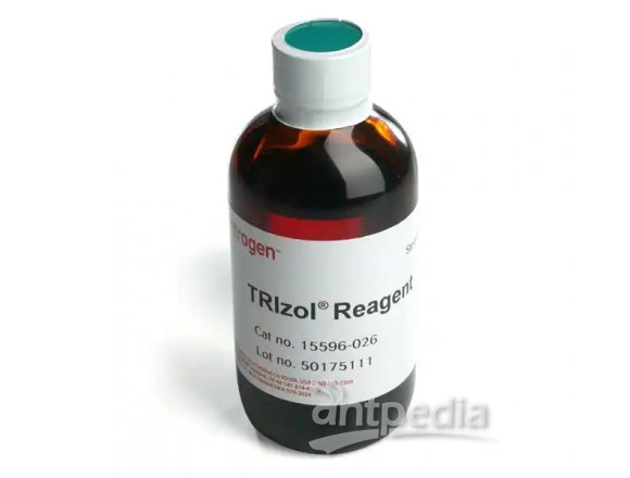 TRIzol™ 试剂  15596026