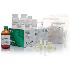TRIzol™ Plus RNA 纯化试剂盒和 Phasemaker™ 管完整系统
