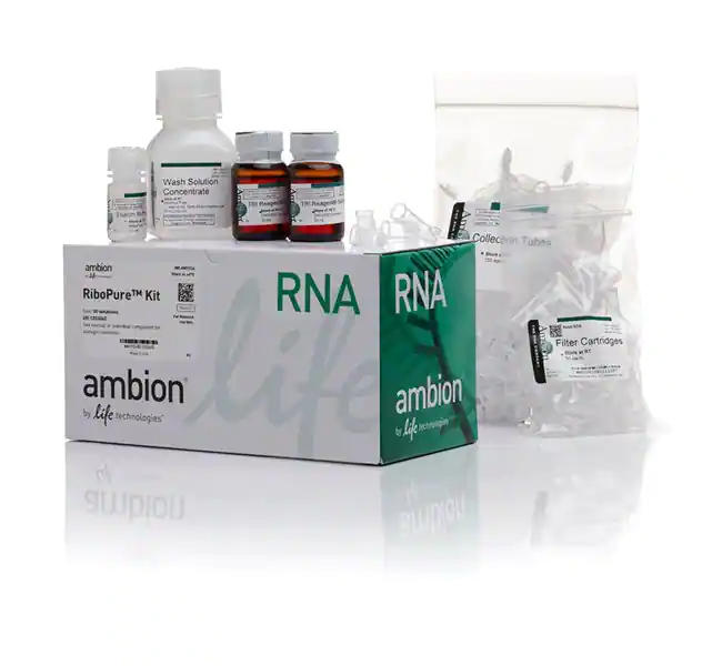 RiboPure™ <em>RNA</em> <em>纯化</em>试剂盒