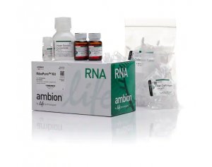 RiboPure™ RNA 纯化试剂盒