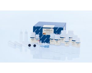 QIAGEN EndoFree Plasmid Maxi Kit