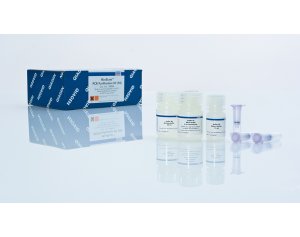 QIAGEN MinElute PCR Purification Kit