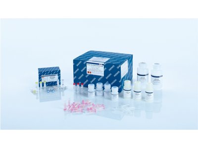 QIAGEN EpiTect Fast DNA Bisulfite Kit