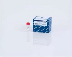 QIAGEN QIAseq FastSelect rRNA/Globin Kit