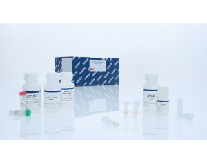 QIAGEN QIAamp RNA Blood Mini Kit