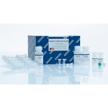 QIAGEN QIAamp DNA Mini Kit
