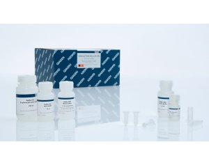 QIAGEN QIAamp DNA Micro Kit
