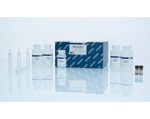 QIAGEN Blood & Cell Culture DNA Midi Kit