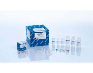 QIAGEN GeneRead DNA FFPE Kit