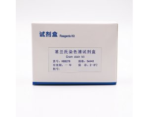 革兰氏染色液试剂盒  HB8278  5ml*8