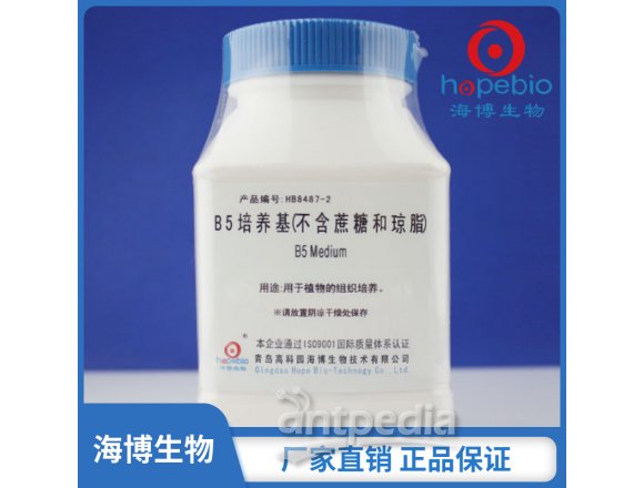 B5培养基（不含琼脂和蔗糖）  HB8487-2  250g