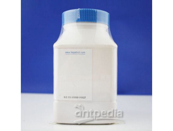 沙氏葡萄糖琼脂（含氯霉素）	HB8407-2  250g