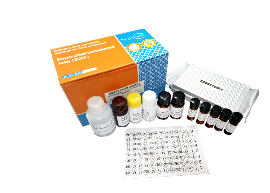HEM0196美正黄曲霉毒素总量ELISA检测试剂盒