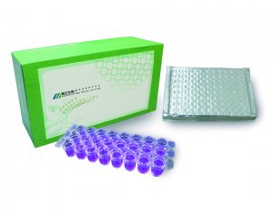 美正乳及乳制品中抗生素检测试剂盒 96T*3