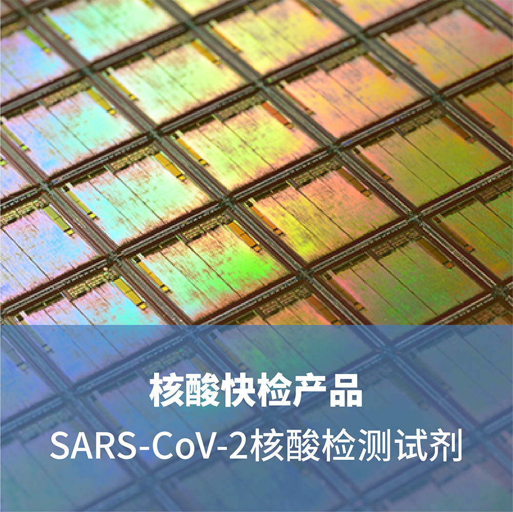 SARS-CoV-2核酸检测试剂