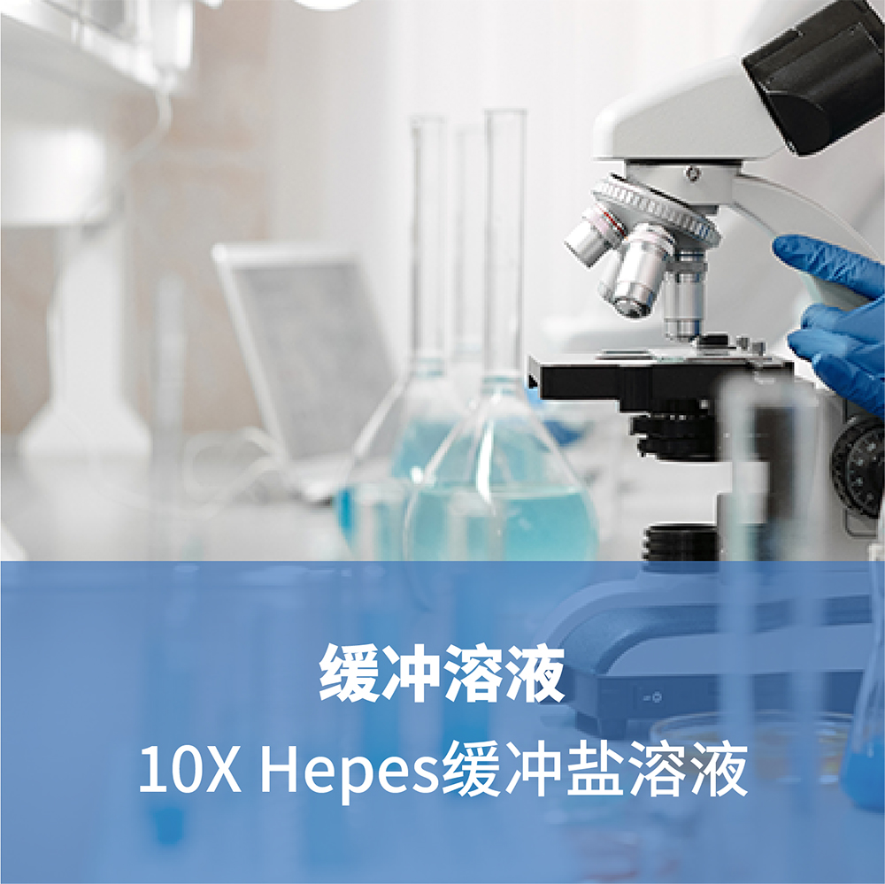 10X Hepes缓冲盐溶液
