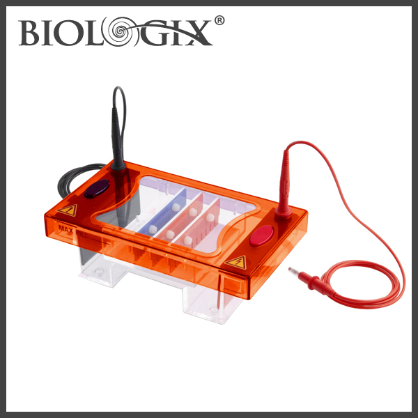 巴罗克Biologix电泳槽 <em>提供</em>至少两种托盘以及用于凝胶制备的梳子03-3100