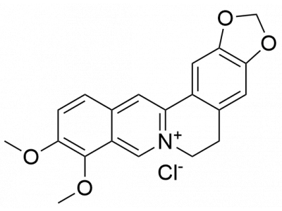 B802464-20mg 盐酸小檗碱,分析对照品